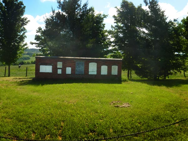 Monument Oak